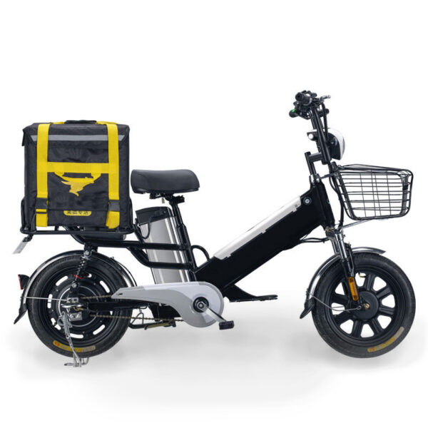 The Pro-Cargo. Model EB030- Cargo Rack and Dual Seat E-Bike - Image 4