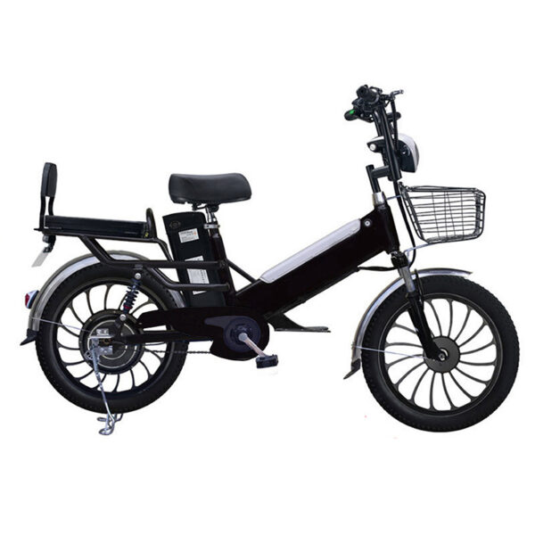 The Pro-Cargo. Model EB030- Cargo Rack and Dual Seat E-Bike - Image 3
