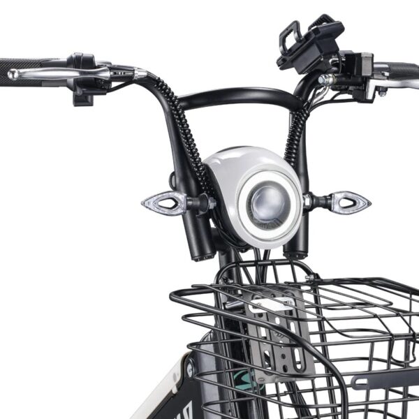 The Pro-Cargo. Model EB030- Cargo Rack and Dual Seat E-Bike - Image 7
