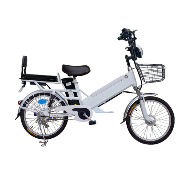 The Pro-Cargo. Model EB030- Cargo Rack and Dual Seat E-Bike