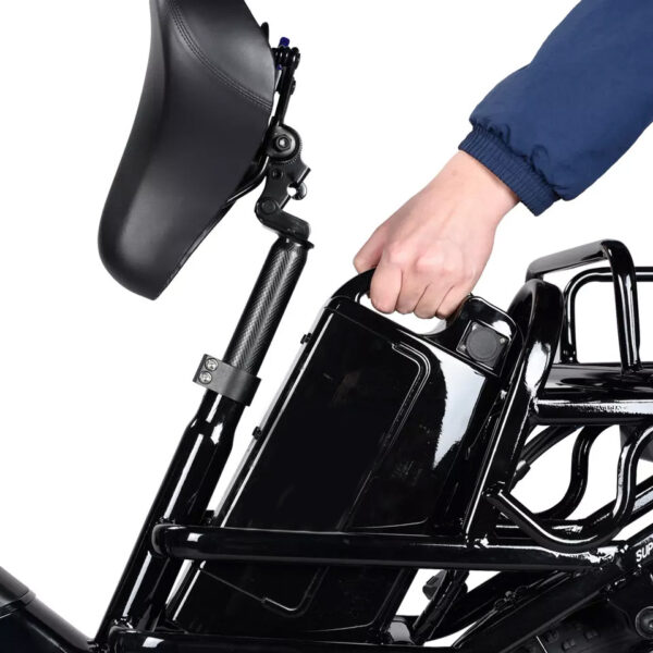The Pro-Cargo. Model EB030- Cargo Rack and Dual Seat E-Bike - Image 6