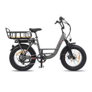 Osprey UL 2849 Certified, Osprey 500W (700W Peak) Torque Sensor, 48V 20″ Fat Tire, E-Cargo Edition