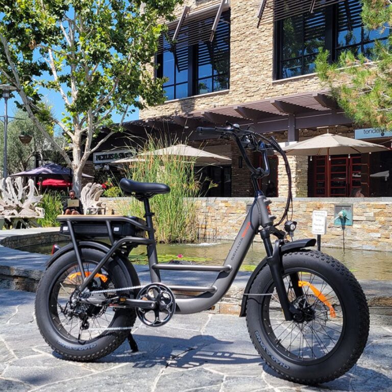 seneda-osprey-e-bike-700247_2048x